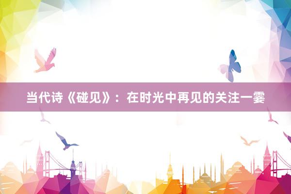 当代诗《碰见》：在时光中再见的关注一霎