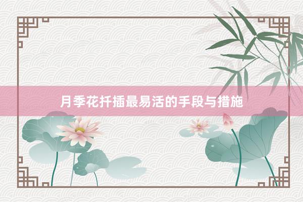 月季花扦插最易活的手段与措施