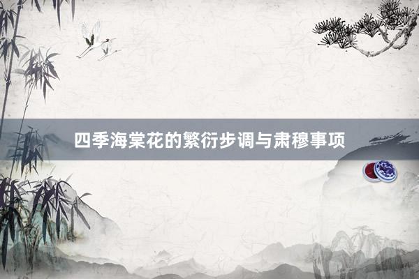 四季海棠花的繁衍步调与肃穆事项