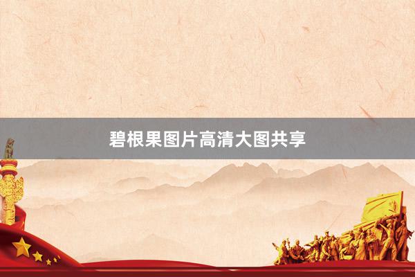 碧根果图片高清大图共享